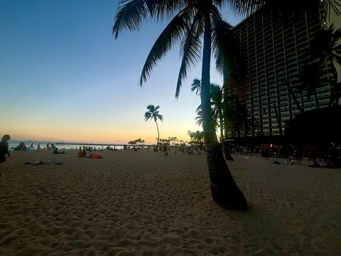 椰子影にほどける夕暮れ