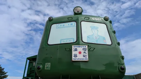 緑の電車の顔、ご機嫌いかが？