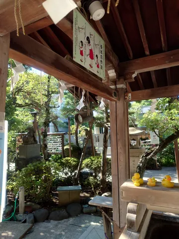 参拝の作法とアヒルたちの休日
