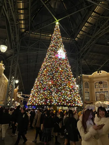祝祭を彩る煌めく巨木