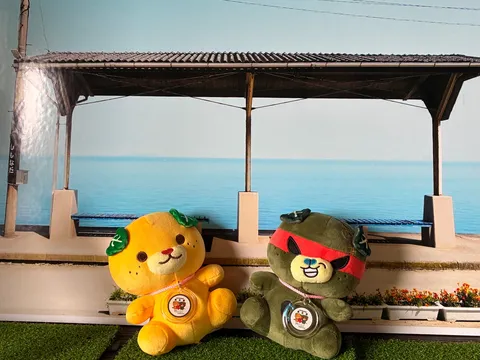 映えスポットの常連さん？