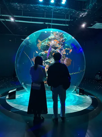 球体の海に吸い込まれる