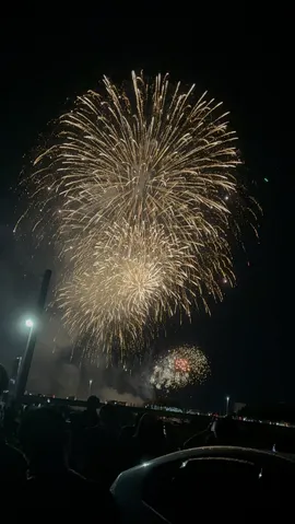 夜空に咲き乱れる黄金の花火