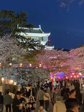 夜桜と城、賑わう春の宵