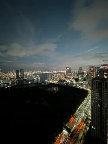 都会の灯、静寂の夜景