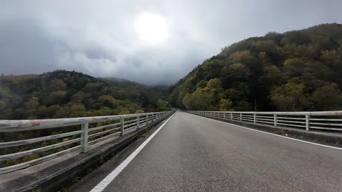 霧の向こうへ続く秋の道