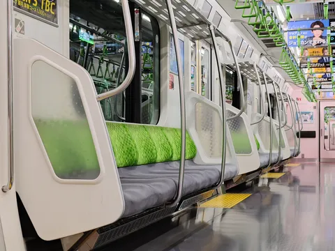 緑が彩る車内の光景