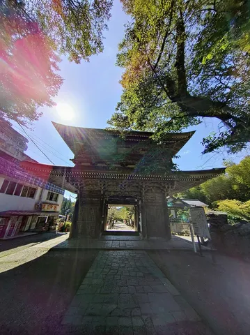 木陰の参道を抜ける門