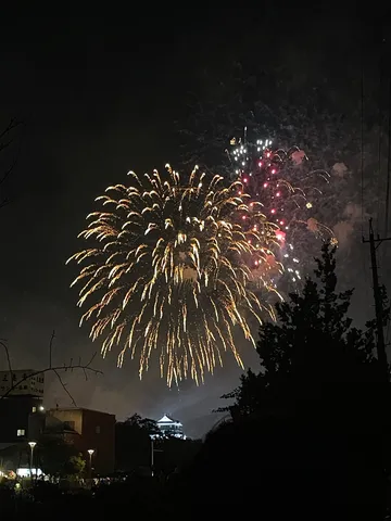 夜空を彩る光の芸術