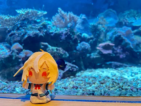 水族館デート？ぬいぐるみの冒険