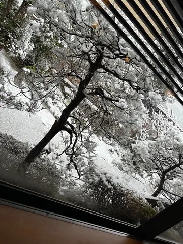 静寂に舞う雪景色、自然の息吹