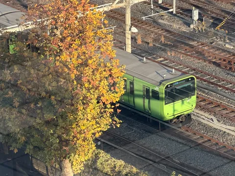 色づく秋と都会の風景