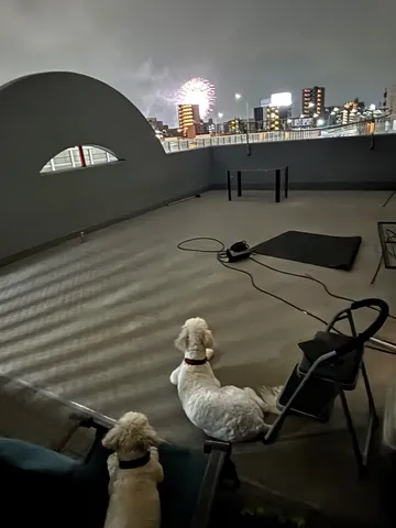 夜景と愛犬、特別な花火観賞