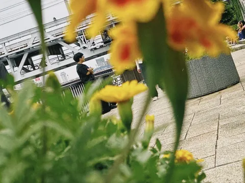 花越しの日常、ふとした瞬間
