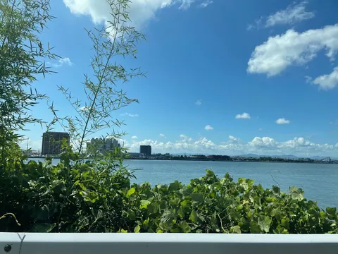 緑葉と広がる空、都会の風景
