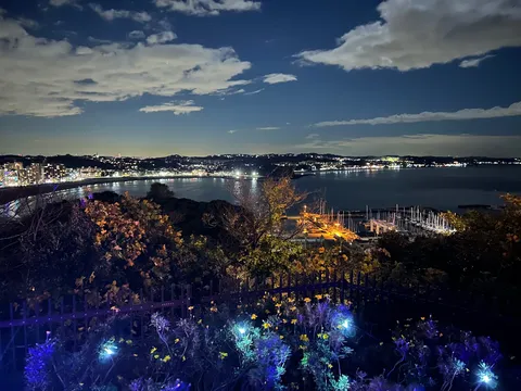 煌めく湾岸の夜