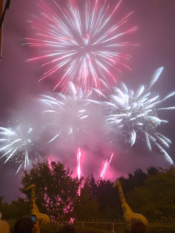 夜空に咲く、夢色の花火