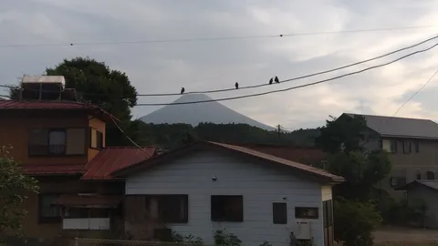 鳥の視線、山のある街並み