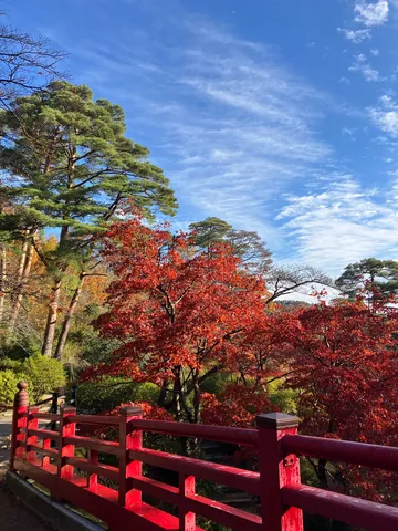 紅葉が主役の赤い橋