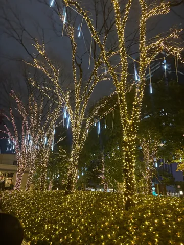 光の粒が舞う、冬の夜の魔法