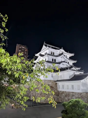 夜の白壁城に灯る静寂