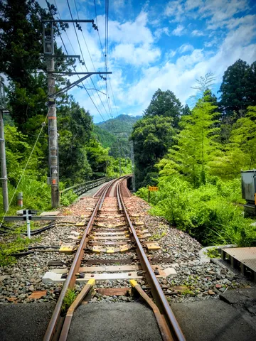 緑深き山間の鉄道