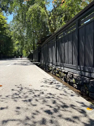 木陰に落ちる影の道