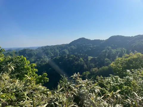 森影と青空の静寂