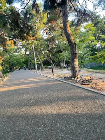 木漏れ日誘う、緑の散歩道