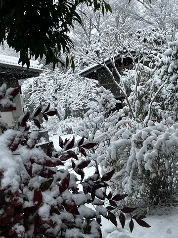 しんしんと積もる雪景色