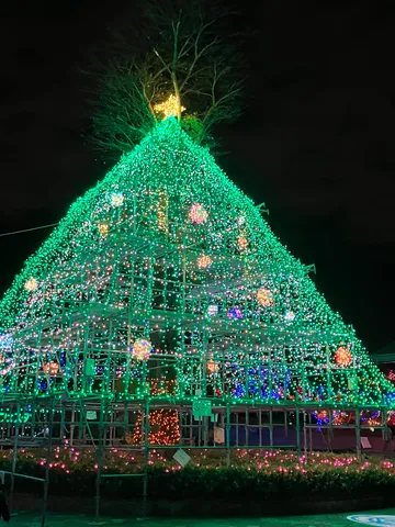 イキスギクリスマスツリー