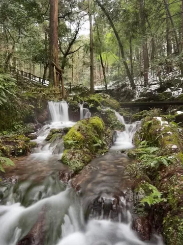 水の紡ぐ森の物語