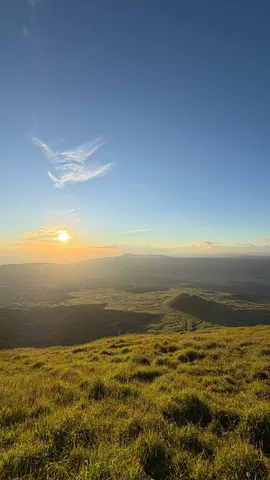 夕陽が草原を染める光景
