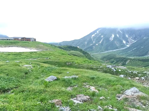緑深き山道、空へと続く風景