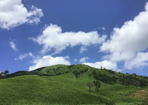 緑の山々と青い空のコントラスト