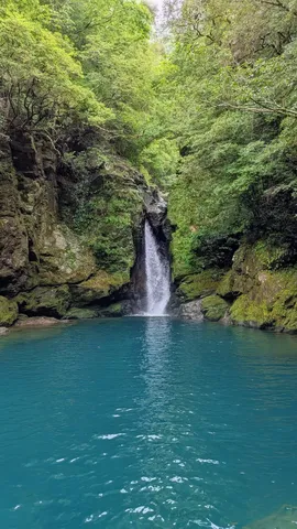 澄みわたる碧の滝壺