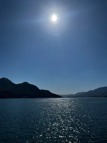太陽がきらめく海辺の風景