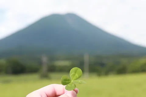 掌の幸と、悠久の山
