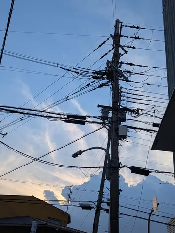 都会の空に絡みつく電線