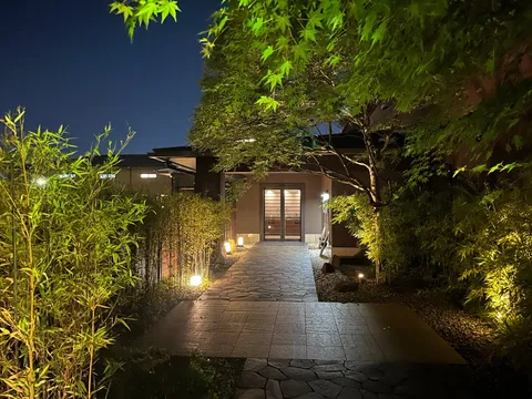 光と緑が織りなす夜の小道