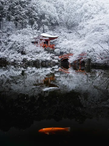 雪国の赤い寺、池に輝くサプライズ