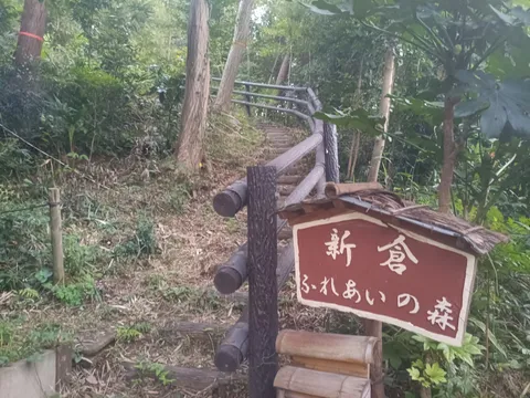 森の道と木の手すり