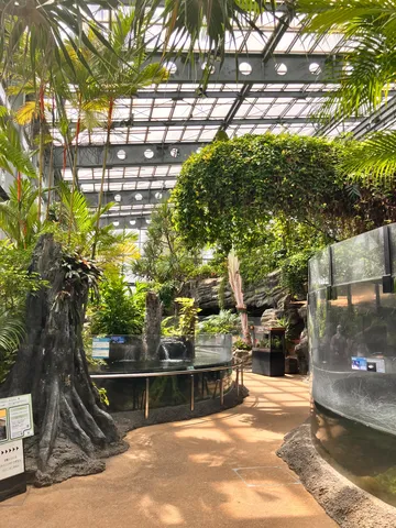 熱帯のガラス庭園