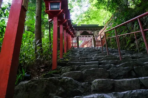 鎮守の杜へ続く石段
