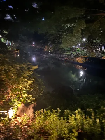 夜の運河、灯りがちらり
