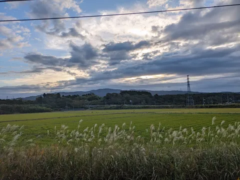 雲間に覗く光と、風揺れる田園