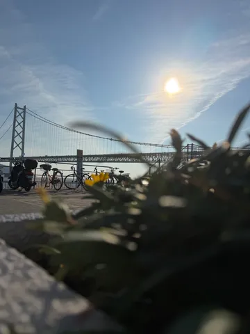 潮風と陽光の橋景