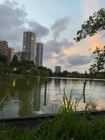 都会の夕暮れ水鏡