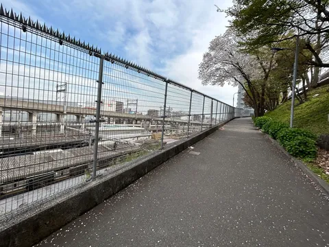 桜舞い散る線路脇の道