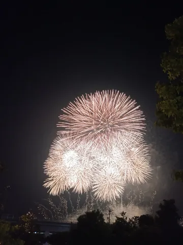 夜空に咲き誇る光の花火